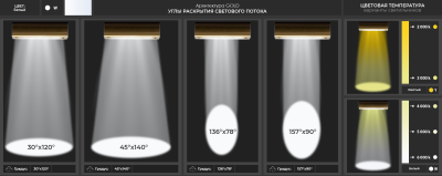 Магистраль GOLD, консоль K-1, 53 Вт, 45X140°, светодиодный светильник в России